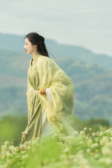 暴风少年